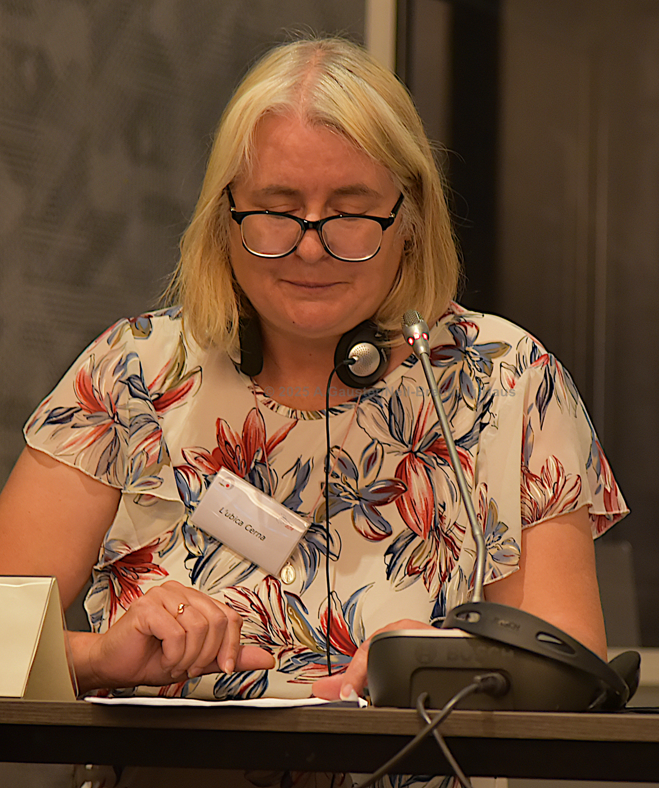 Doc. Ing. Ľubica Černá PhD September 2025